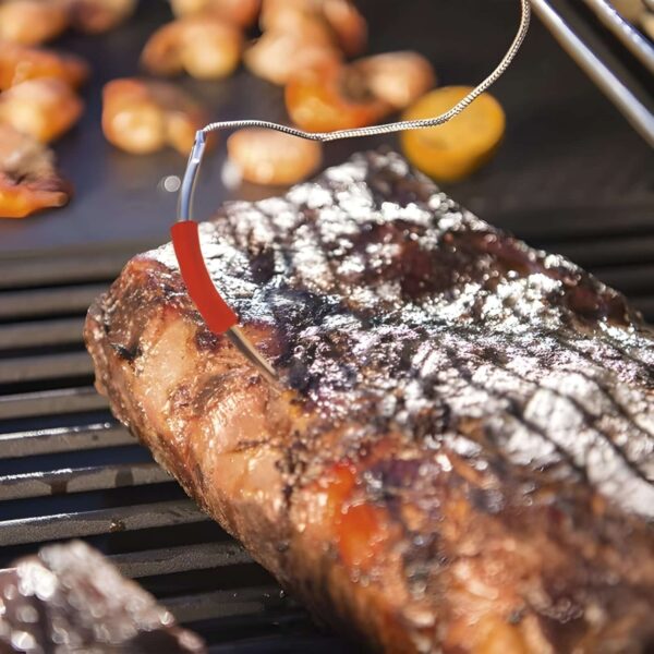 Termómetro digital de doble sonda insertado en una pieza de carne sobre la barbacoa Landmann Rexon 6.1