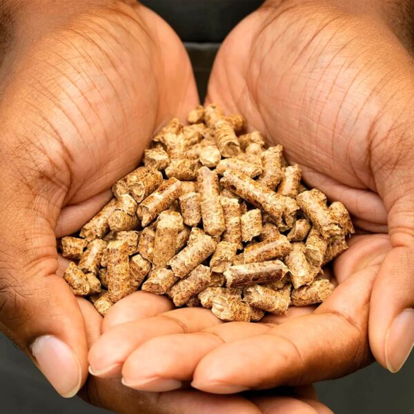 Primer plano de pellets de madera natural sostenidos en manos, mostrando la calidad y textura de la Mezcla Intensa de nogal, cerezo, arce y roble.