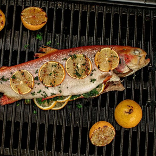 Pescado entero a la parrilla adornado con rodajas de limón y hierbas, cocinándose en la barbacoa Weber Traveler.