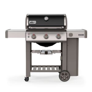 Barbacoa de Gas Genesis II E-310 GBS - Weber