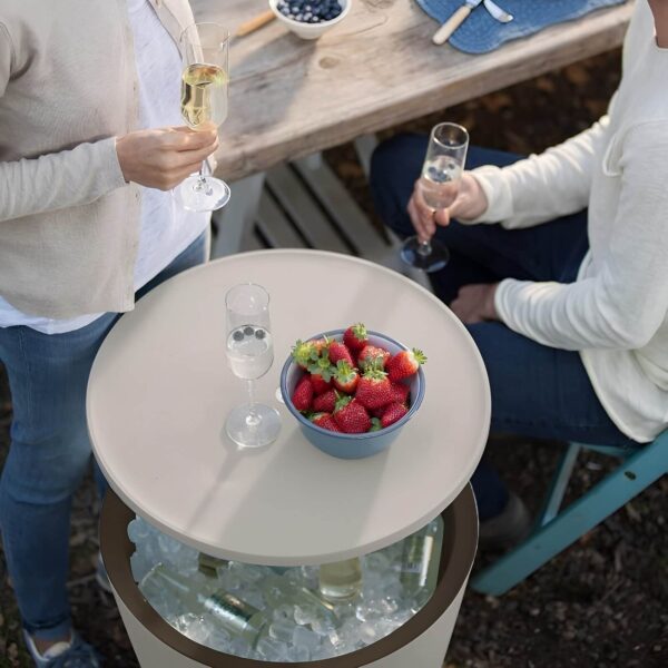 Dos personas disfrutando de bebidas junto a la Mesa Nevera CoolBar de Keter, que contiene botellas enfriadas y un bol de fresas sobre la tapa.