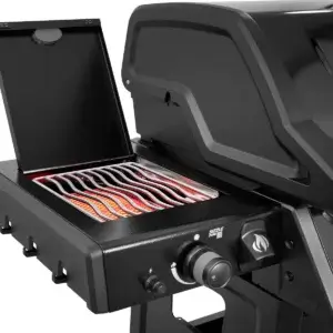 Barbacoas de Gas Freestyle 2026 - Napoleon Barbacoas de Gas Freestyle 2026 - Napoleon